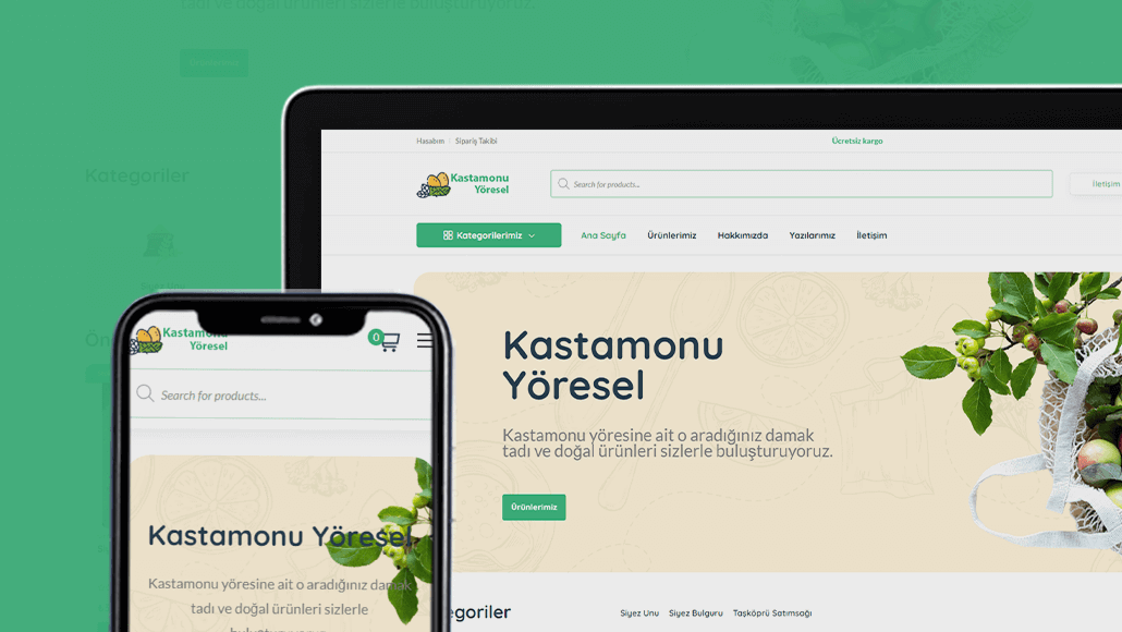 Kastamonu web sitesi tasarımı Kastamonu web sitesi tasarımı