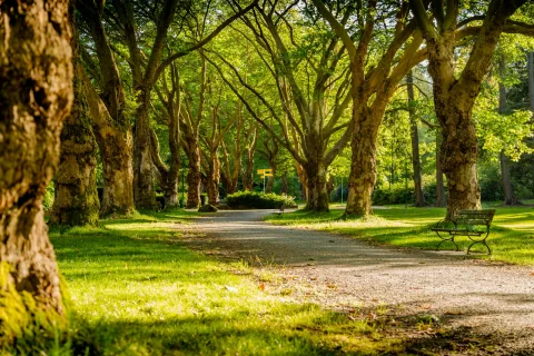 Daha Yeşil Bir Şehir İçin Yeni Park Projesi